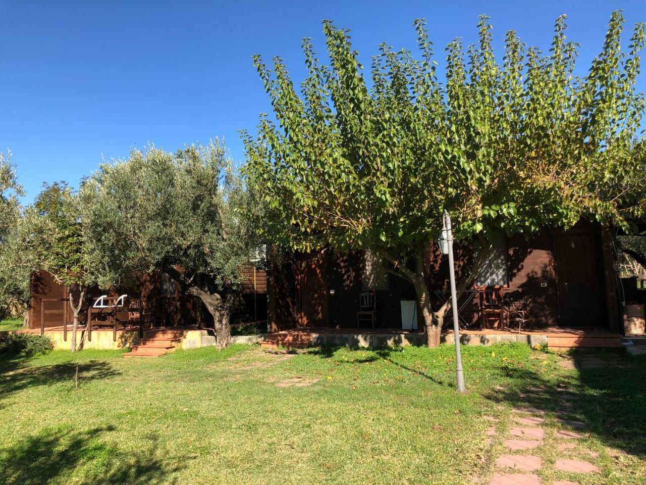 Agriturismo Masseria I Risi Guest House SantʼEufemia Lamezia Eksteriør bilde