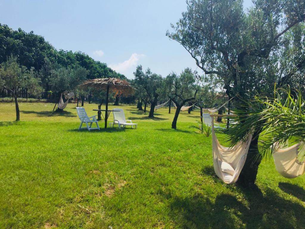 Agriturismo Masseria I Risi Guest House SantʼEufemia Lamezia Eksteriør bilde